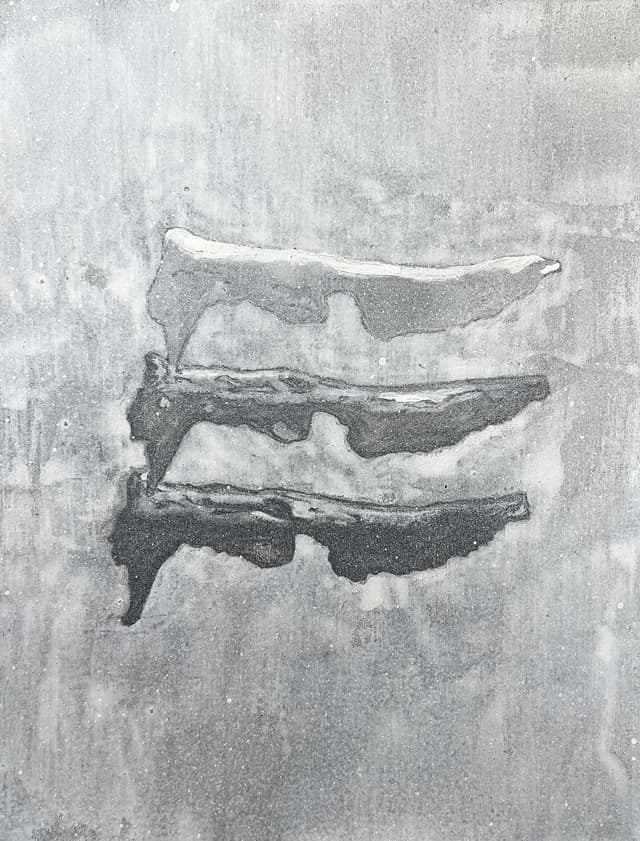 Burnt Log